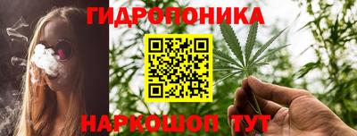 гашиш Кингисепп
