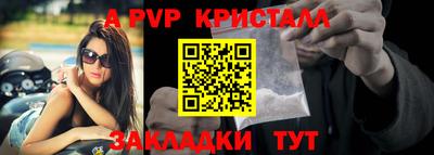 крисы Кинель