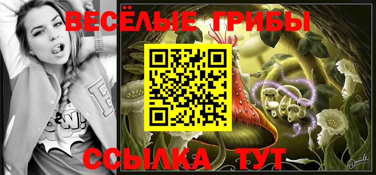 Галлюциногенные грибы MAGIC MUSHROOMS  Вход с VPN  Галлюциногенные грибы ЛСД  купить   Балашов 