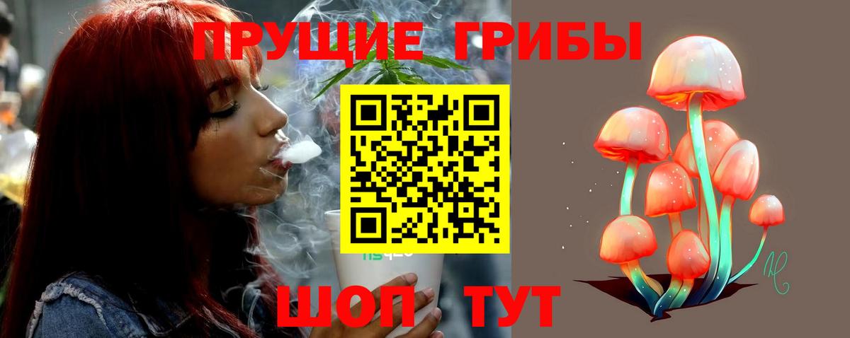 Галлюциногенные грибы прущие грибы Балашов
